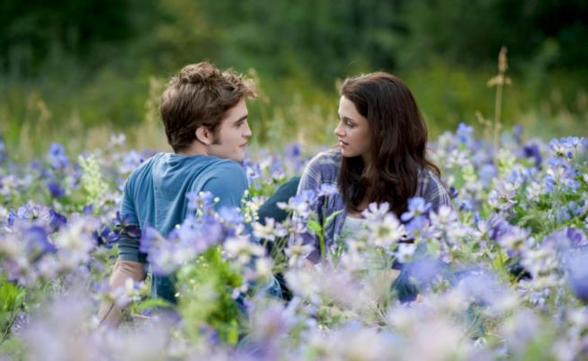 Tutti i luoghi della saga di Twilight Una scena di Twilight con Bella ed Edward tra i fiori