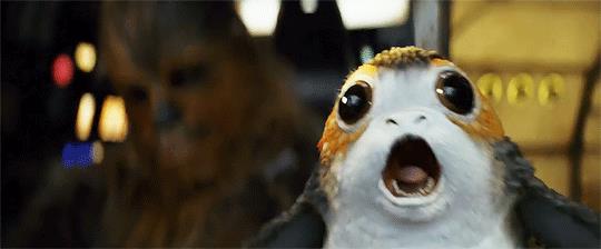 O li ami o li odi: i fan di Star Wars si dividono sui Porg Porg in Episodio VIII