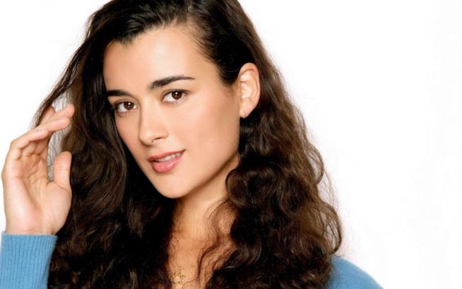 Cote de Pablo, la sexy Ziva David