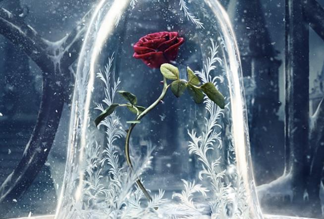 Amore e bellezza: La Bella e la Bestia e altri film La rosa de La Bella e la Bestia