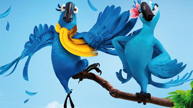 Estinta in natura l'Ara di Spix, la specie che ha ispirato il film Rio Blu e Gioiel, le due Are di Spix del film Rio