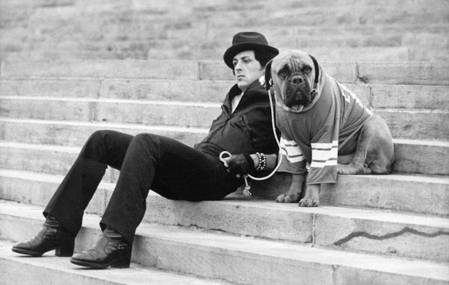 Rocky, il pugile con cui Sylvester Stallone conquistò Hollywood Sylvester Stallone sul set di Rocky nel 1975