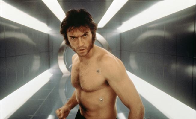 Wolverine protagonista di alcune delle scene più memorabili della saga degli X-Men Hugh Jackman è Wolverine in X-Men del 2000
