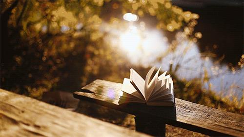 I 10 migliori libri del 2017 Mathilda legge un libro