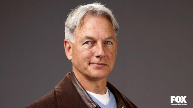 La vita di Mark Harmon, protagonista di N.C.I.S., lontano dai riflettori La vita di Mark Harmon, protagonista di N.C.I.S., lontano dai riflettori.