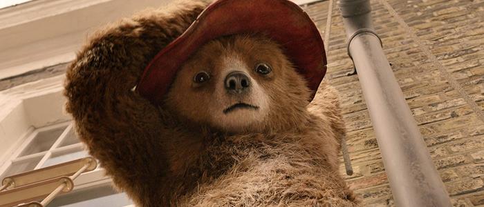 Paddington Un primo piano del protagonista Paddington