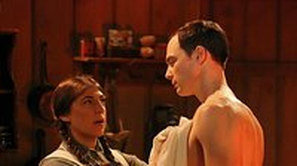 The Big Bang Theory S8E14_Cover