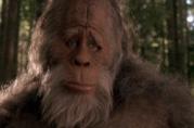 Il Bigfoot è una creatura umanoide alta e pelosa, mito di molte culture Un Bigfoot dal film Bigfoot e i Suoi Amici