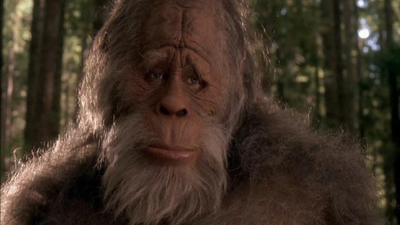 Il Bigfoot è una creatura umanoide alta e pelosa, mito di molte culture Un Bigfoot dal film Bigfoot e i Suoi Amici