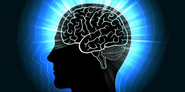 Scoperto il 'Nucleo Endorestiforme', nuova area del cervello Un'illustrazione di un cervello umano che irradia una luce blu