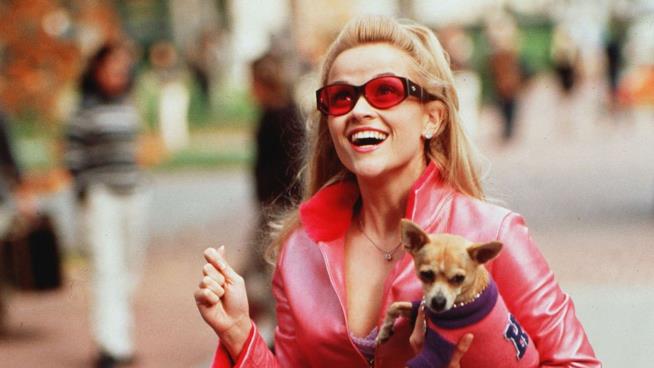 La rivincita delle bionde: Reese Witherspoon torna per il terzo capitolo Reese Witherspoon è Elle Woods
