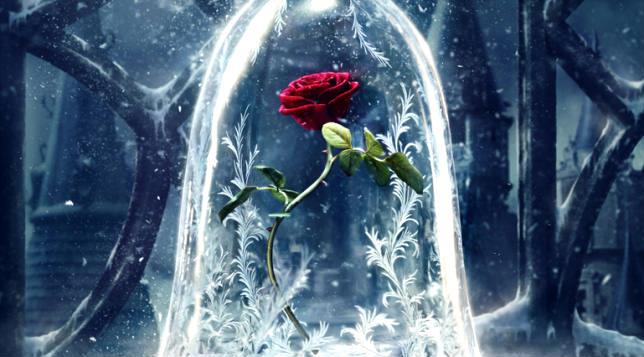 La rosa Incantata nel primo poster di La Bella e La Bestia. La rosta incantata nel primo poster di La Bella e la Bestia